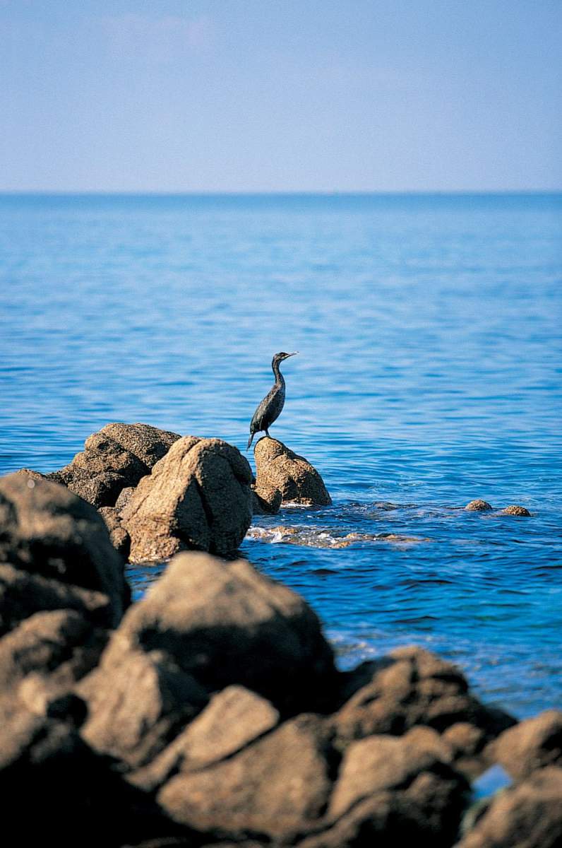 hotel avec plage en corse